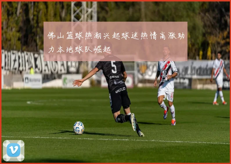 佛山篮球热潮兴起球迷热情高涨助力本地球队崛起