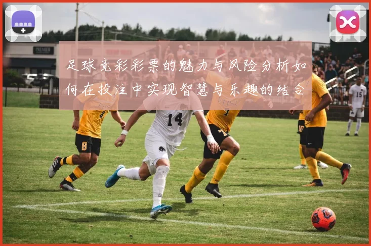 足球竞彩彩票的魅力与风险分析如何在投注中实现智慧与乐趣的结合