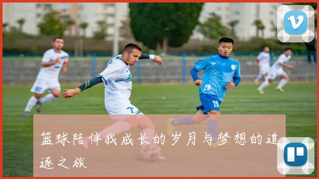 篮球陪伴我成长的岁月与梦想的追逐之旅