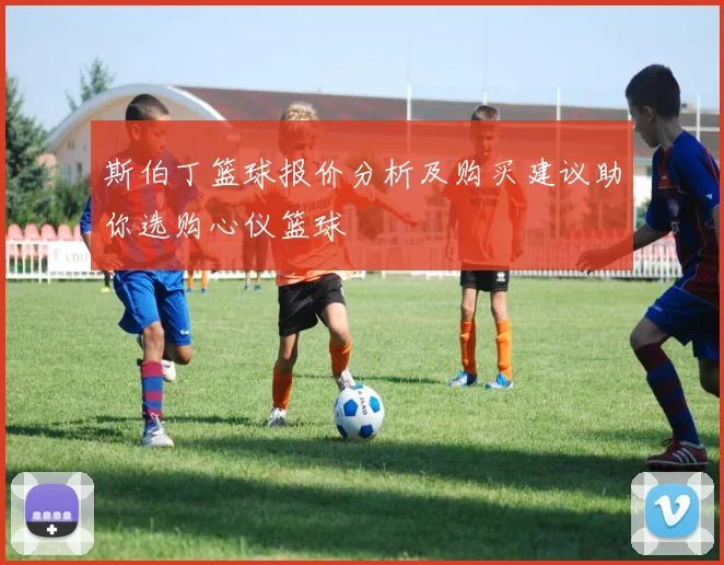 斯伯丁篮球报价分析及购买建议助你选购心仪篮球