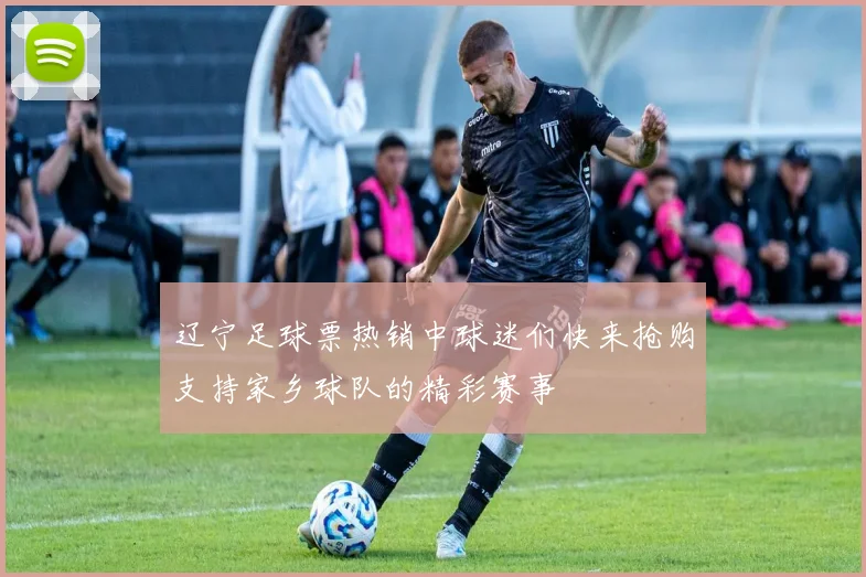 辽宁足球票热销中球迷们快来抢购支持家乡球队的精彩赛事