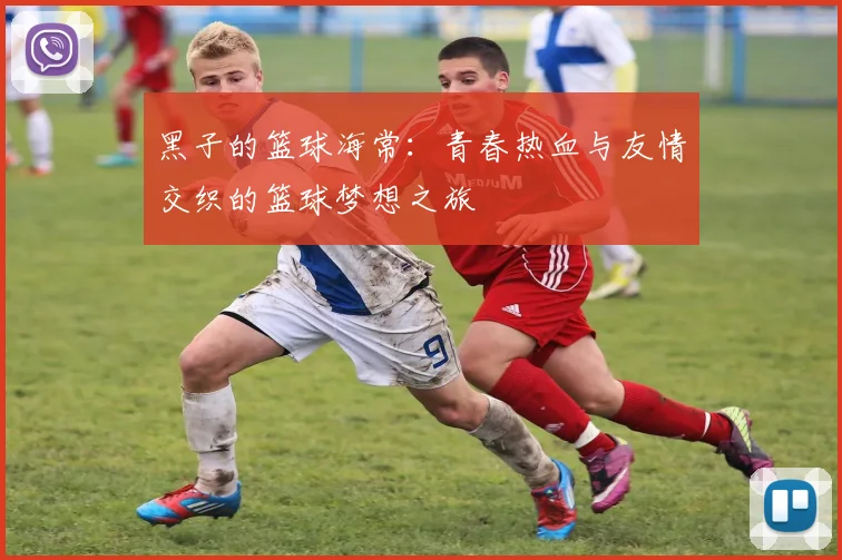 黑子的篮球海常：青春热血与友情交织的篮球梦想之旅