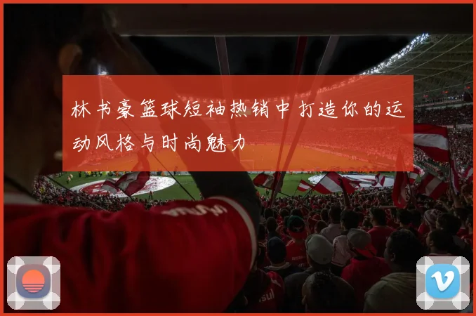 林书豪篮球短袖热销中打造你的运动风格与时尚魅力