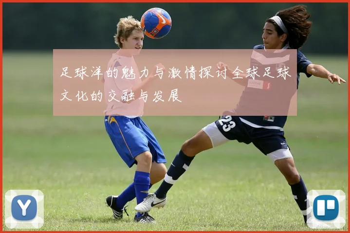 足球洋的魅力与激情探讨全球足球文化的交融与发展