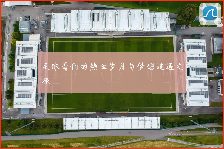 足球哥们的热血岁月与梦想追逐之旅