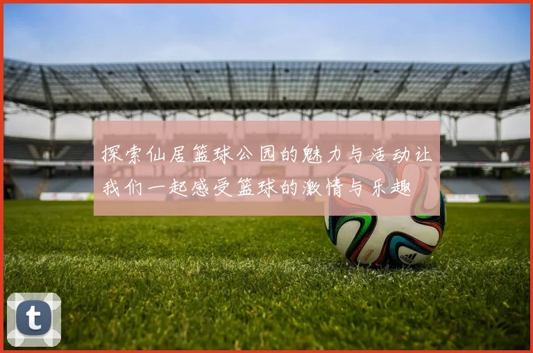 探索仙居篮球公园的魅力与活动让我们一起感受篮球的激情与乐趣