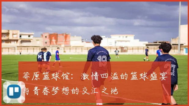 莽原篮球馆：激情四溢的篮球盛宴与青春梦想的交汇之地