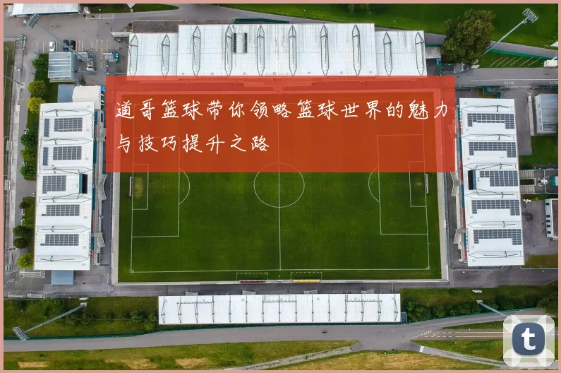 道哥篮球带你领略篮球世界的魅力与技巧提升之路