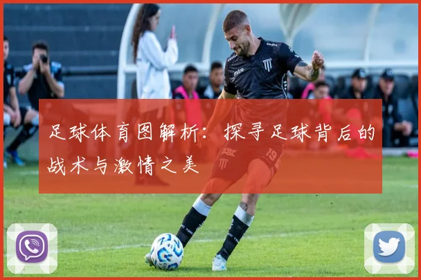 足球体育图解析：探寻足球背后的战术与激情之美