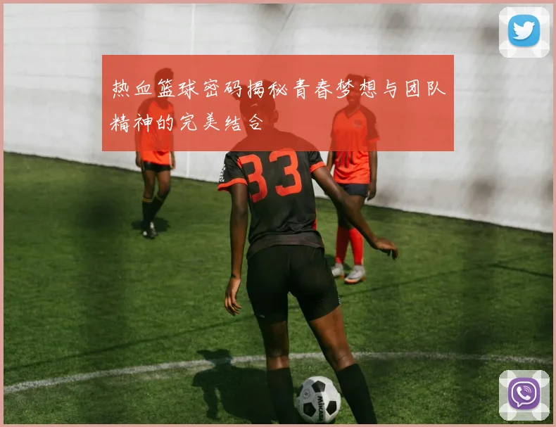 热血篮球密码揭秘青春梦想与团队精神的完美结合